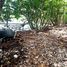  Land for sale in Wichit, Phuket, Wichit