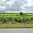  Land for sale in Namtan, In Buri, Namtan