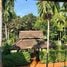 6 Bedroom House for rent at Baan Suan Nonsi, Nong Chom, San Sai