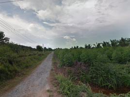 在Bang Khla, 北柳出售的 土地, Tha Thong Lang, Bang Khla