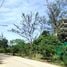  Land for sale in Layan Beach, Choeng Thale, Choeng Thale