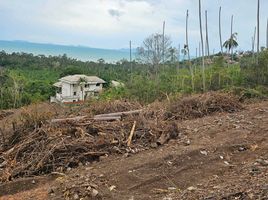  Land for sale in Koh Samui, Ang Thong, Koh Samui