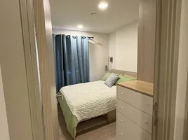 1 Bedroom Condo for rent at Dcondo Reef Phuket, Kathu, Kathu, Phuket