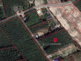  Grundstück zu verkaufen in Ban Khai, Rayong, Nong Bua, Ban Khai