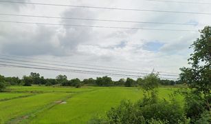 N/A Grundstück zu verkaufen in Tha Chao Sanuk, Phra Nakhon Si Ayutthaya 