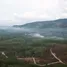 Land for sale in Hat Yai Songkhla, Thung Yai, Hat Yai, Songkhla