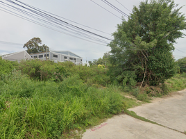  Land for sale in Airport-Pattaya Bus 389 Office, Nong Prue, Na Kluea