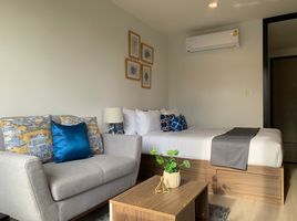 1 Bedroom Apartment for rent at THE BASE Central Phuket, Wichit