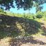  Grundstück zu verkaufen in San Felipe De Puerto Plata, Puerto Plata, San Felipe De Puerto Plata, Puerto Plata, Dominikanische Republik
