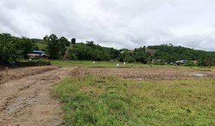 N/A Land for sale in Mae La Noi, Mae Hong Son 