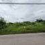  Land for sale in Tiger Park Pattaya, Nong Prue, Nong Prue