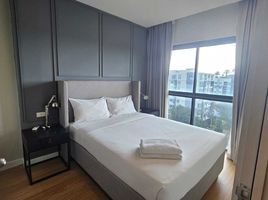 1 Schlafzimmer Appartement zu vermieten im Dlux Condominium , Chalong, Phuket Town, Phuket, Thailand