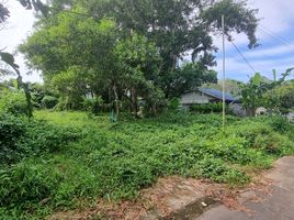  Land for sale in Si Sunthon, Thalang, Si Sunthon