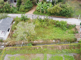  Grundstück zu verkaufen in San Kamphaeng, Chiang Mai, Rong Wua Daeng