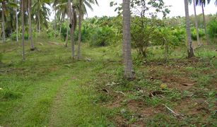 N/A Land for sale in Ang Thong, Hua Hin 