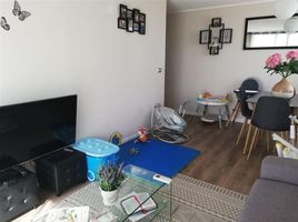 3 Schlafzimmer Wohnung zu verkaufen im Macul, San Jode De Maipo