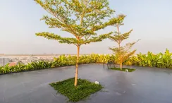 图片 2 of the Communal Garden Area at Treetops Pattaya