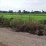 在那空沙旺出售的 土地, Bang Phra Luang, Mueang Nakhon Sawan, 那空沙旺