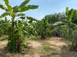  Grundstück zu verkaufen in Sattahip, Chon Buri, Sattahip, Sattahip