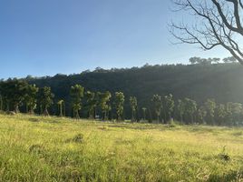 ขายที่ดิน ใน เขาค้อ เพชรบูรณ์, แคมป์สน, เขาค้อ, เพชรบูรณ์