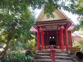 3 Schlafzimmer Villa zu verkaufen in Mueang Chiang Rai, Chiang Rai, San Sai