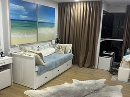 Studio Wohnung zu verkaufen im Ozone Condotel, Karon, Phuket Town, Phuket