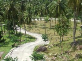  Land for sale in Surat Thani, Taling Ngam, Koh Samui, Surat Thani