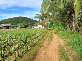  Grundstück zu verkaufen in Hua Hin, Prachuap Khiri Khan, Thap Tai