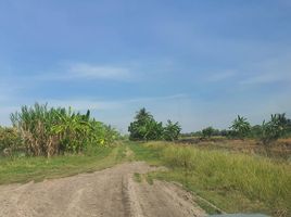  Grundstück zu verkaufen in Lat Lum Kaeo, Pathum Thani, Na Mai