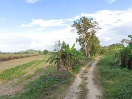  Land for sale in Pong Noi, Doi Luang, Pong Noi