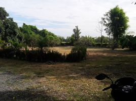  Land for sale in Talat Yai, Doi Saket, Talat Yai