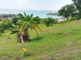  Land for sale in Wichit, Phuket Town, Wichit