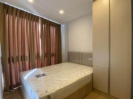 1 Schlafzimmer Appartement zu vermieten im The Nest Sukhumvit 71, Phra Khanong Nuea, Watthana, Bangkok, Thailand