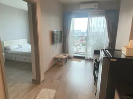 คอนโด 1 ห้องนอน ให้เช่า ในโครงการ วิซดอม อเวนิว รัชดา - ลาดพร้าว, จอมพล