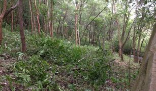 N/A Land for sale in Bo Phut, Koh Samui 