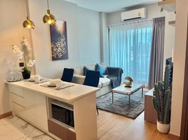 1 Bedroom Condo for rent at The Astra Condo, Chang Khlan, Mueang Chiang Mai