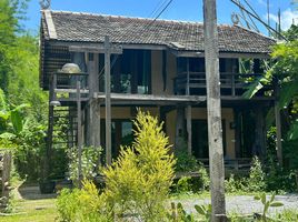 6 Schlafzimmer Shophaus zu vermieten in Thailand, Huai Sak, Mueang Chiang Rai, Chiang Rai, Thailand