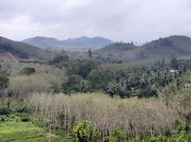  Grundstück zu verkaufen in Na Thawi, Songkhla, Khlong Kwang, Na Thawi, Songkhla