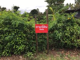  Grundstück zu verkaufen in Mae Taeng, Chiang Mai, San Mahaphon, Mae Taeng