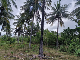  Land for sale in West Nusa Tenggara, Praya, Lombok Tengah, West Nusa Tenggara