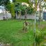 4 Bedroom House for sale in Nong Chok Bangkok, Khok Faet, Nong Chok