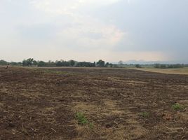  Land for sale in Phetchabun, Na Yom, Mueang Phetchabun, Phetchabun