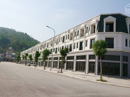 3 Schlafzimmer Villa zu verkaufen in Ha Long, Quang Ninh, Bai Chay
