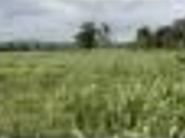  Land for sale in Muang Khom, Chai Badan, Muang Khom