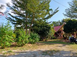 3 Schlafzimmer Villa zu verkaufen in Mueang Chiang Rai, Chiang Rai, San Sai