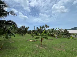  Grundstück zu verkaufen in Koh Samui, Surat Thani, Maret