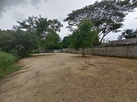  Land for sale in Chang Phueak, Mueang Chiang Mai, Chang Phueak