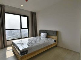1 Bedroom Condo for rent at Life Sukhumvit 48, Phra Khanong, Khlong Toei