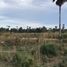  Land for sale in Prachuap Khiri Khan, Pran Buri, Pran Buri, Prachuap Khiri Khan