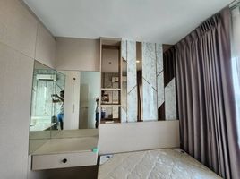 1 Schlafzimmer Wohnung zu vermieten im The Tree Sukhumvit 71-Ekamai, Suan Luang